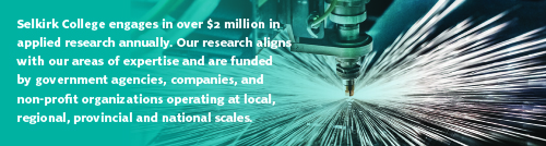 Local Government Development Capacity